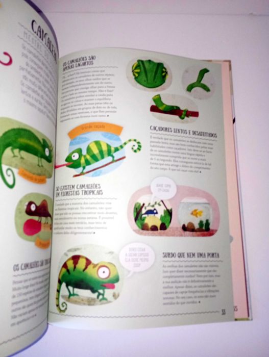 O que achas que sabes sobre os animais? - Jacarandá editora