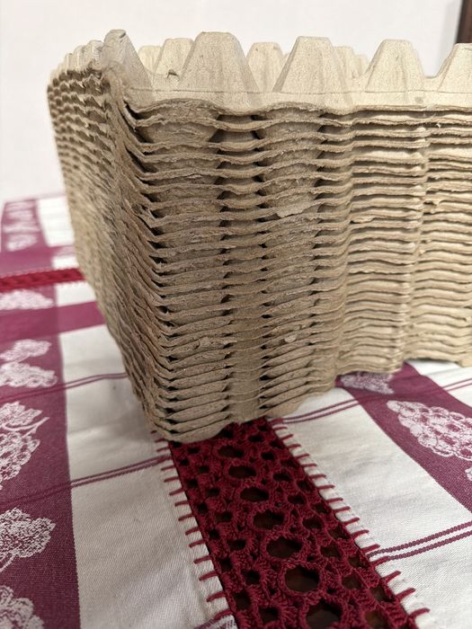 Caixas de 30 ovos novas