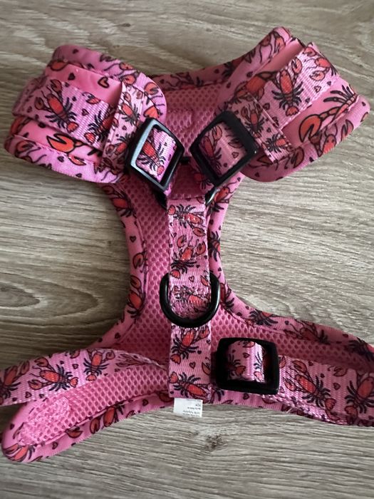 Шлейка для собак р.S