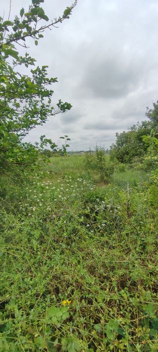 Продам екобудинок с. Великополовецьке