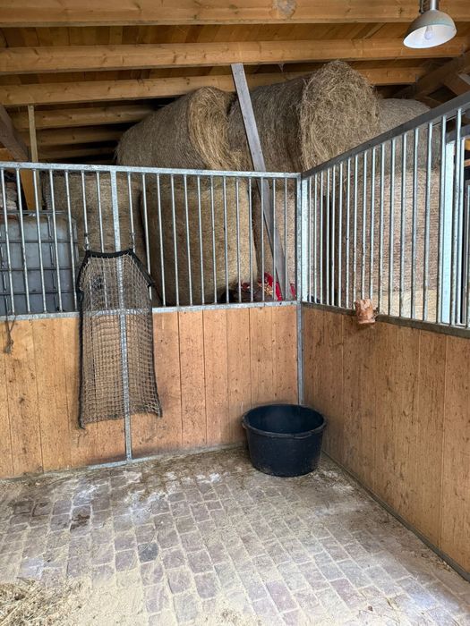 Boksy dla koni ocynkowane