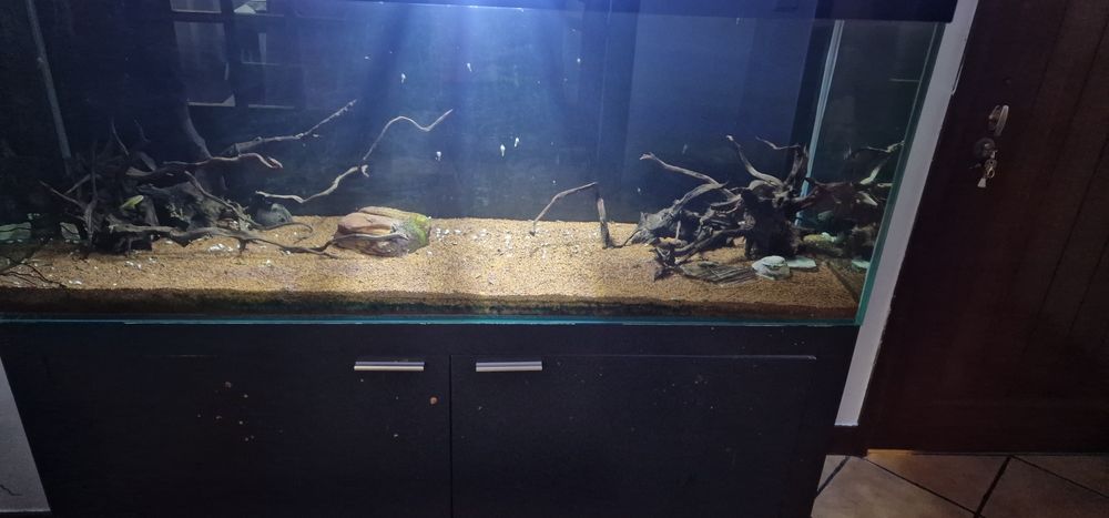 Aquario 150×50×60