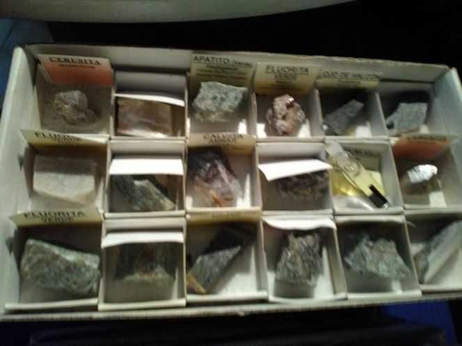 Coleção de minerais com centenas de rochas e cristais