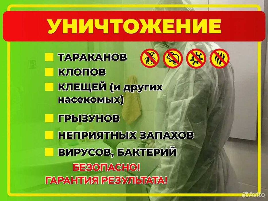 Уничтожение постельных клопов и других насекомых