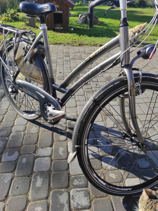 Rower gazela 28 medeo