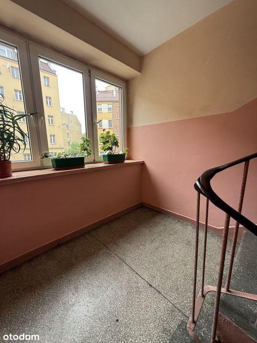 2 pokoje w centrum Wrocławia | wysoki parter | Pereca