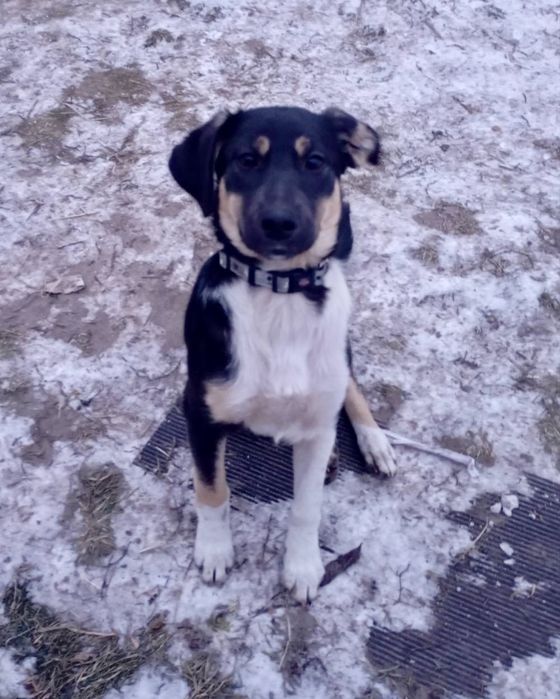 Дуже хочу в родину!!! Розумниця і красуня.