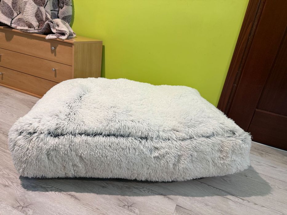 Poduszka dla psa