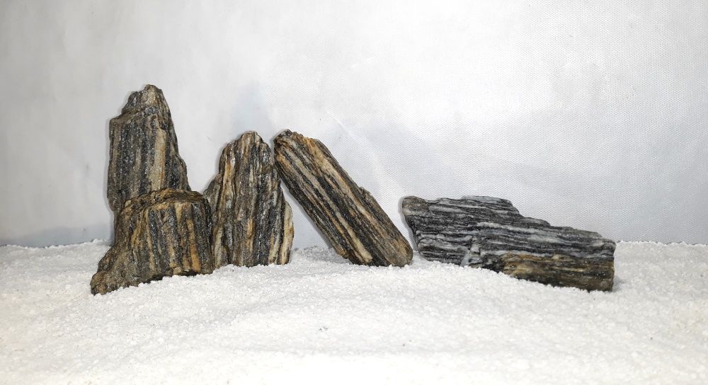 Łupek drzewiasty do akwarium - wszystkie biotopy 50-250 mm