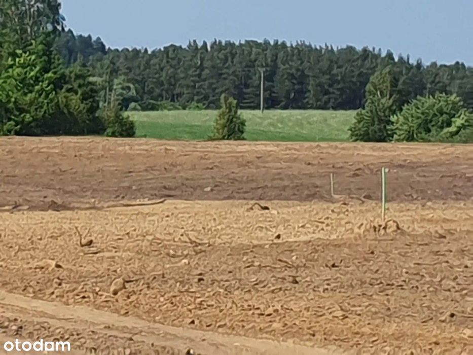 Działka budowlana 1000 m2 20 min. od Trójmiasta Szemud Donimierz