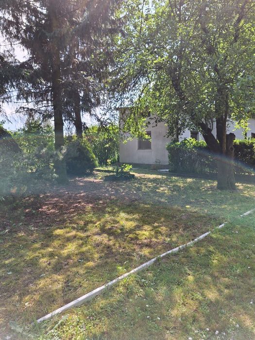 Działka-siedlisko blisko Zgierza