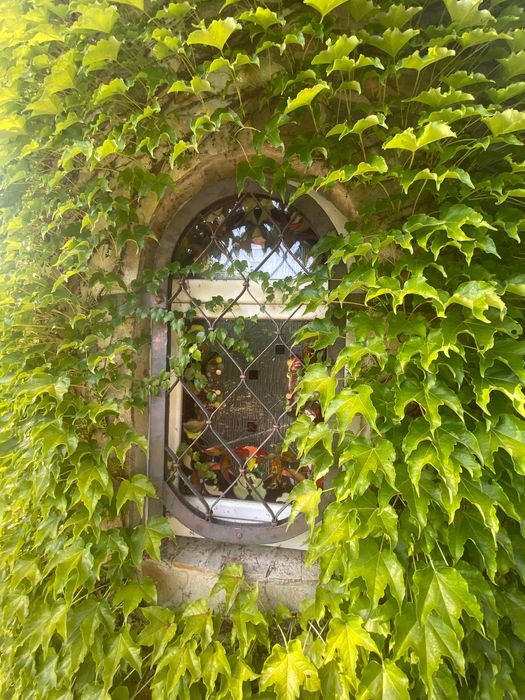 Продажа дома со своим берегом