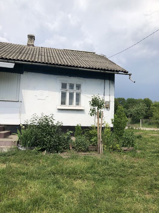 Дом по адресу ул. Хрещатинська (площадь 50 м²) - Atlanta.ua - фото 4