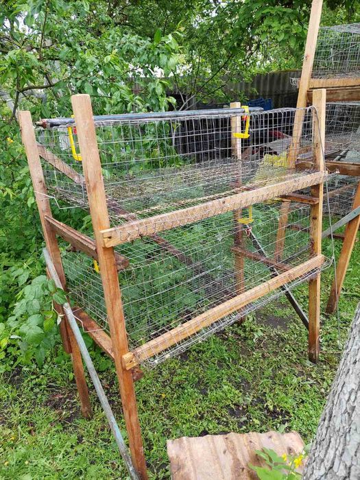 Клітки для перепелів