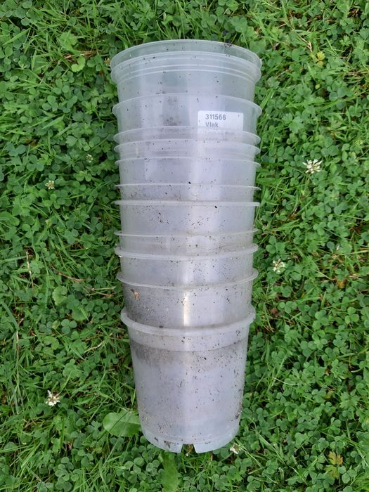 Doniczki storczyki rozsady używane