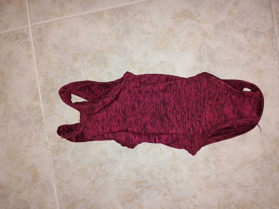 Body cirúrgico n°2 para cão ou gato