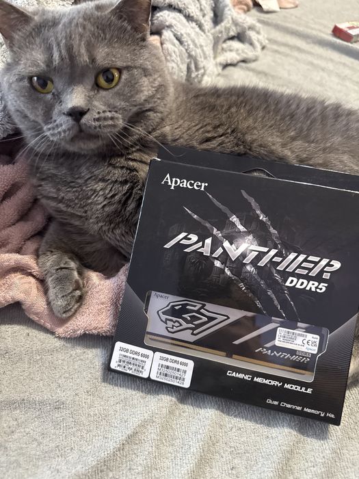 Нова Apacer Panther DDR5 6000