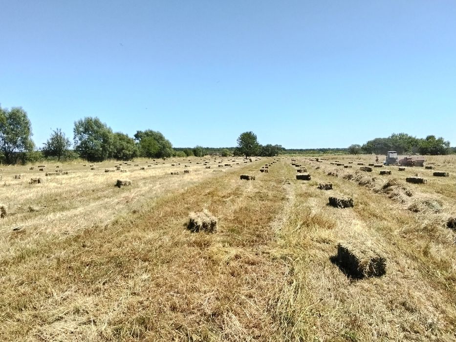 Продам тюки... Свіжий покос