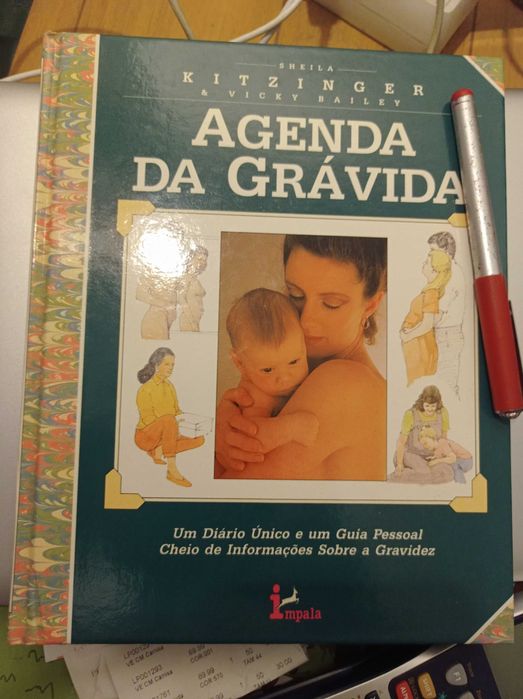 Agenda da grávida - Kitzinger
