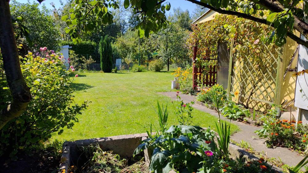 Sprzedam działkę ogrodową ROD