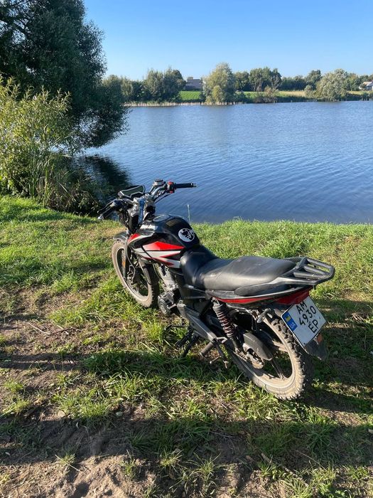 Продам мустанг регіон 150