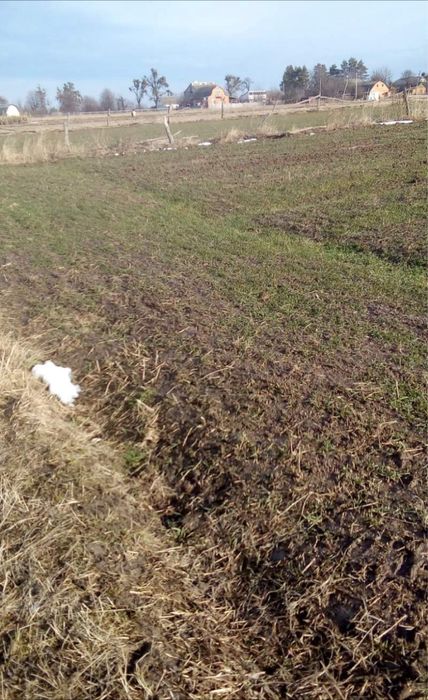 Продам земельну ділянку село Вербівка