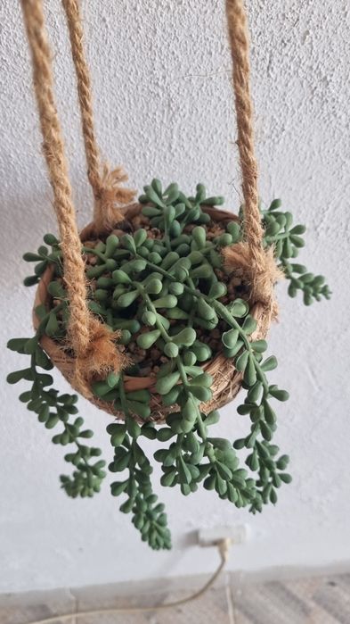 Planta artificial para pendurar