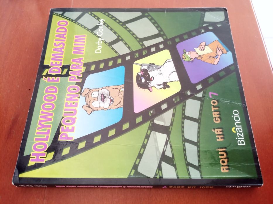 Livros editora Bizâncio, Aqui há gato