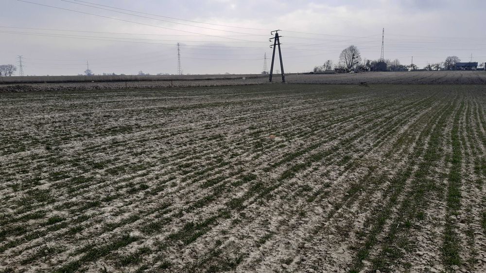 Działka budowlana Unisław ul. Toruńska NOWA CENA - Widok 2