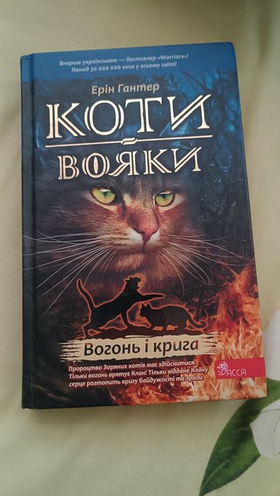 коти вояки вогонь і крига