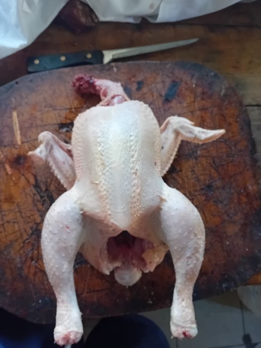Bojler tuszka  sprzedam