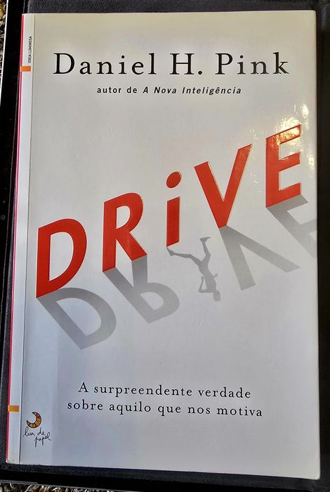 Drive: The Surprising Truth64564269527042120