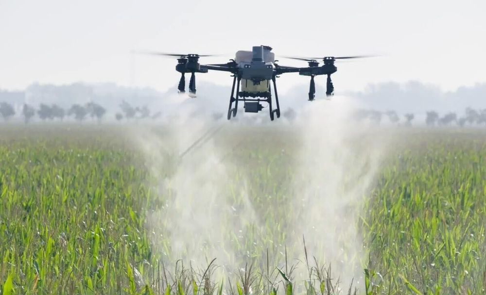 Zwalczanie Szkodników  Dronem | Kuprówka Rudnica i Korowódka Dębówka