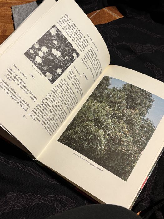 As plantas nossas amigas (Enciclopédia das plantas – Volume II)