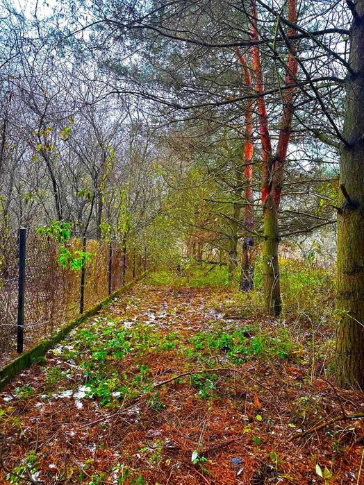 Łomianki Dolne | DZIAŁKA 3000 m² na dom z charakterem, ogrodem i śliwkowym sadem - Widok 3