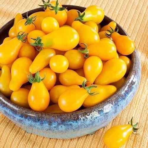 50 Sementes Tomate Pera Amarelo