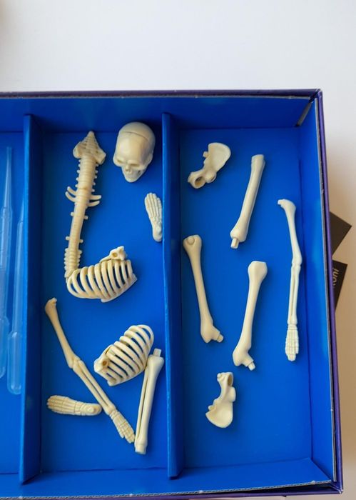 Science Game, Anatomy Laboratory, in Good Condition64738134283905123