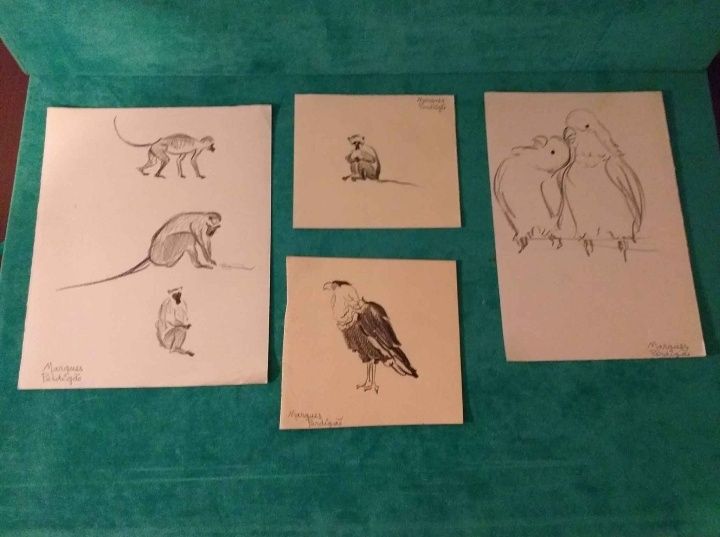 Desenhos Marques Perdigão