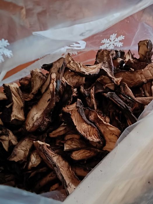 Nowosc Grzyby Suszone  SARNIAKI Polska Trufla