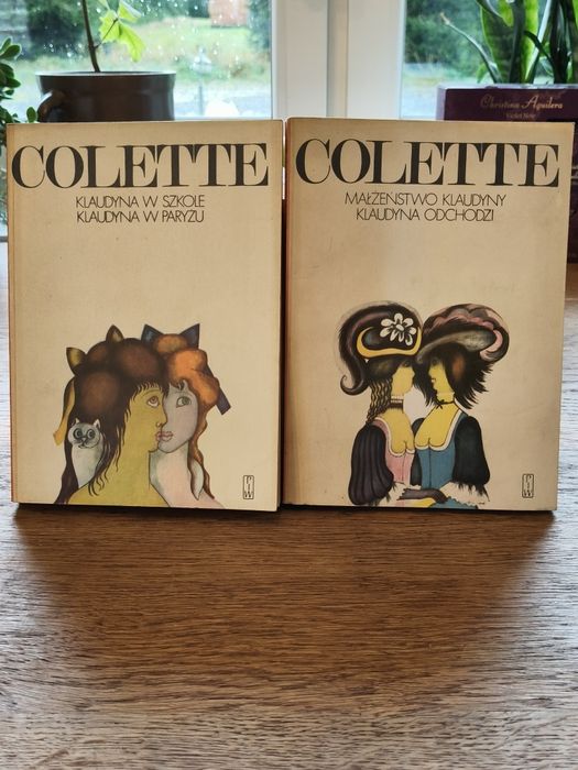 Książka Klaudyna w szkole 25