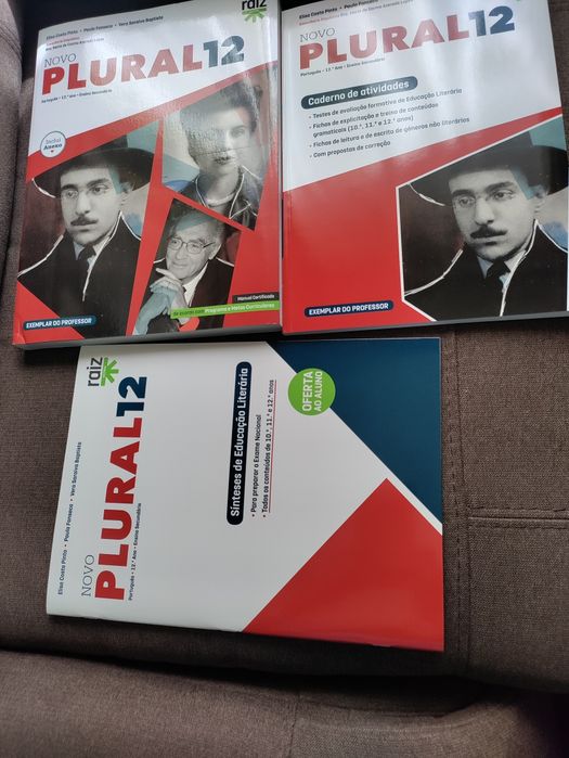 Português 12+ caderno de atividades +síntese de educação literária