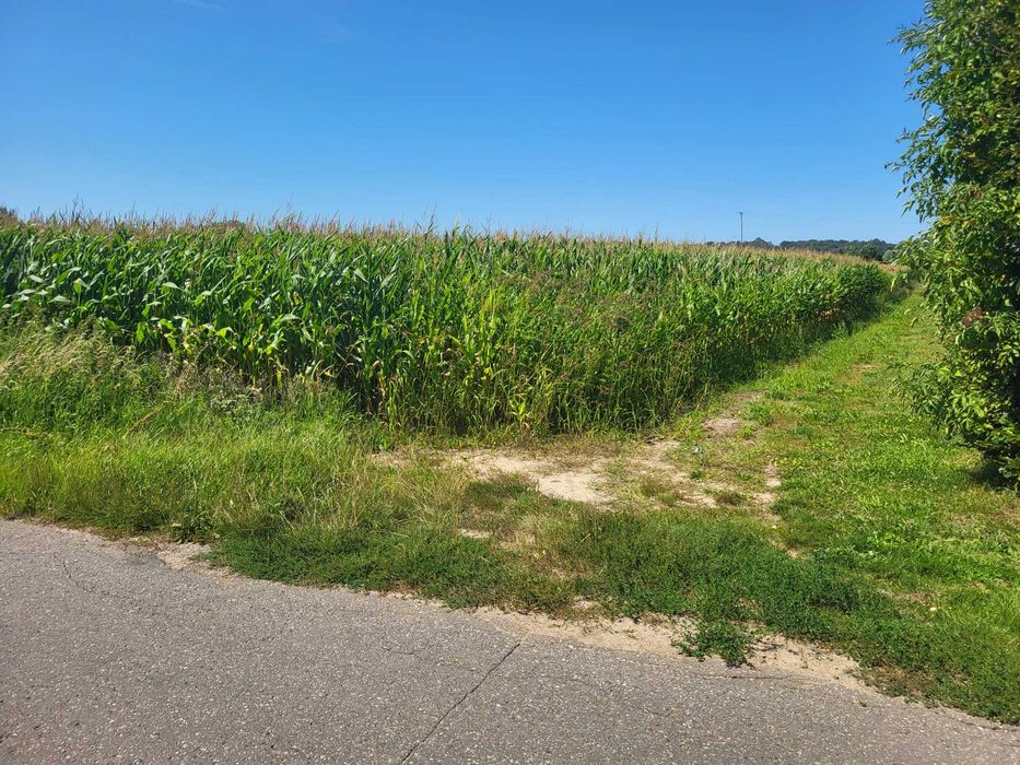 Działki budowlane Kaniczki - Widok 4