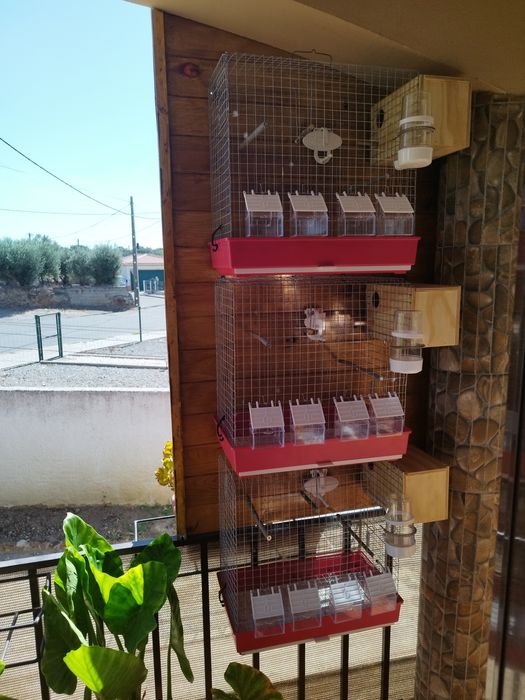 Conjunto de 3 gaiolas