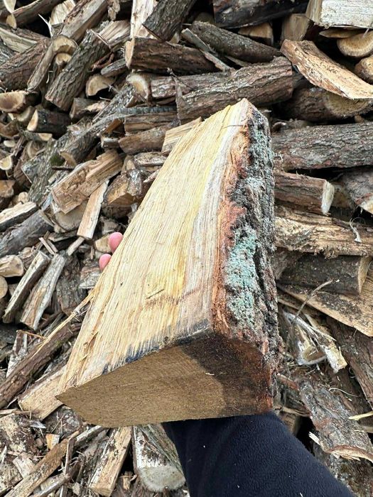 Drewno Opałowo/Kominkowe Świecie – Mega Kaloryczność – Dzwoń!