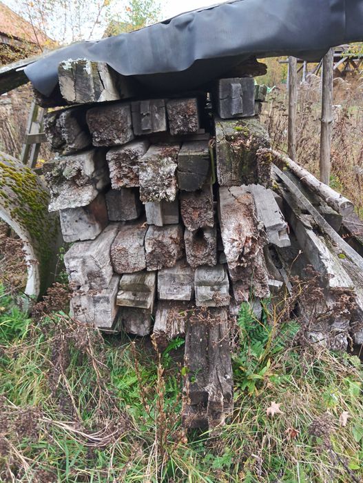 Belki szachulec dębowy stara stodoła 200 lat