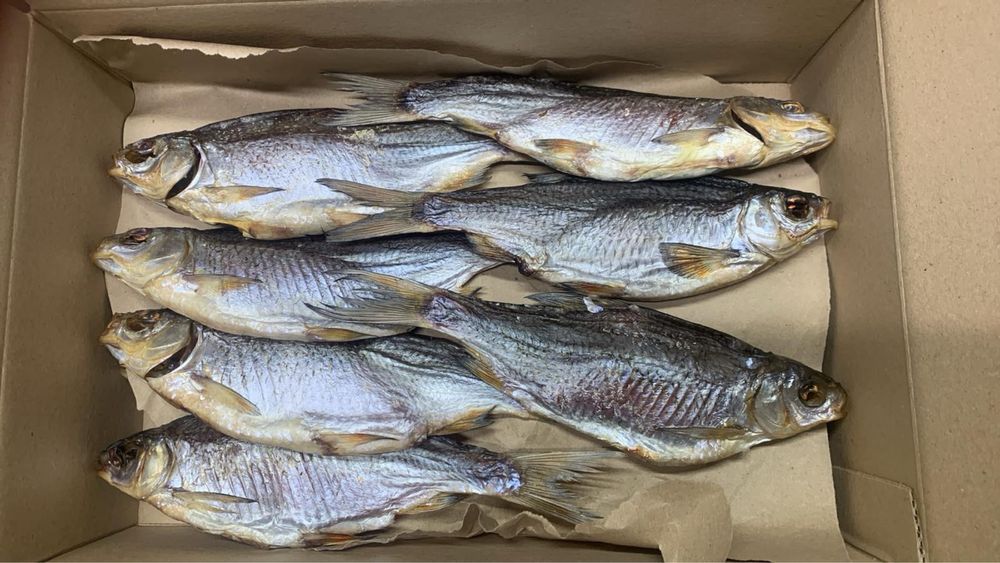 Плотва з ікрою, тарань, лящ, густера, щука, окунь