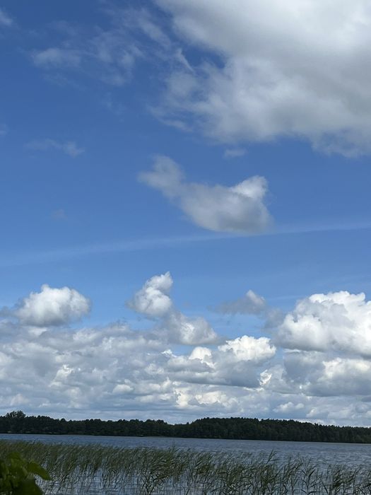 Продам терміново земельну ділянку біля озера Світязь.