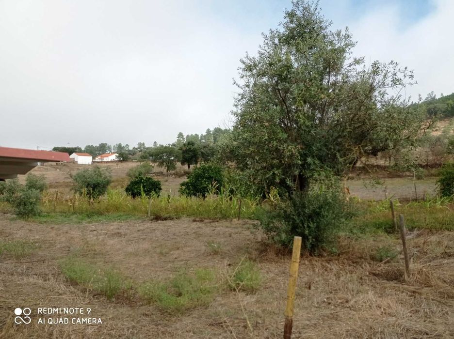 Quarto Duplo para alugar