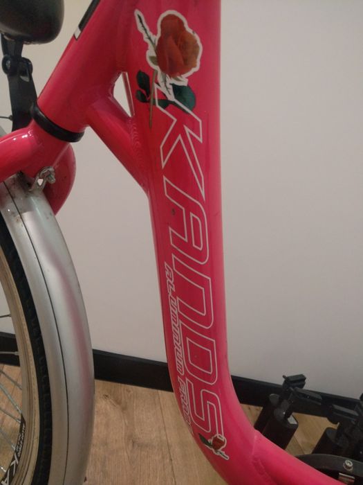 Rowerek 24 dla dziewczynki