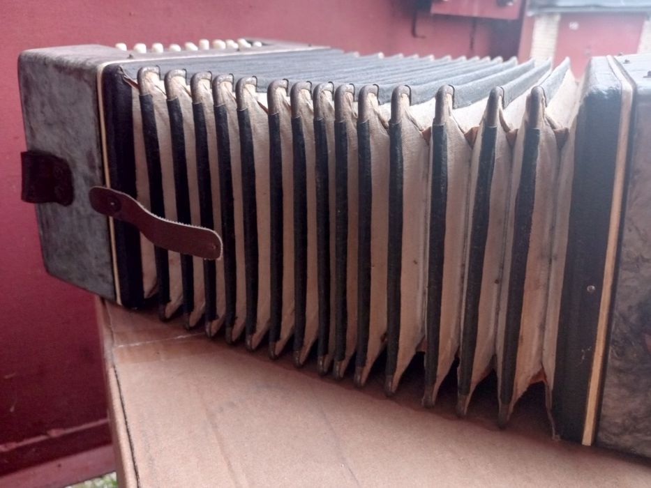 Гармонь гармошка Весна или Украина